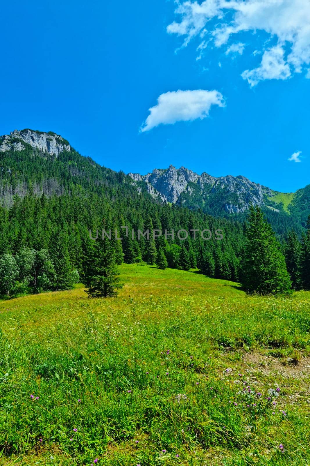 Picturesque mountain views. Summer sunny landscape. Walking in the mountains, active rest. Outdoor recreation, fresh air. by kip02kas