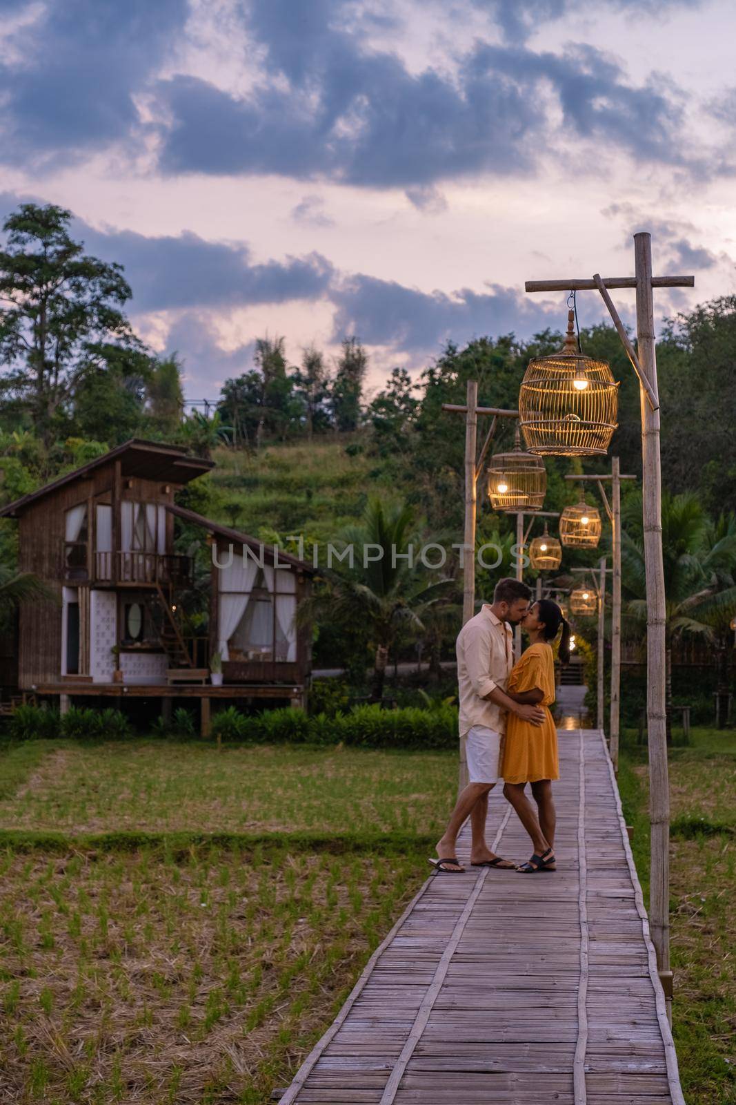 Scandinavian style cottage in Northern Thailand Nan Province looking out over the rice paddies in Thailand, green rice field. couple on vacation inNan, man and woman couple