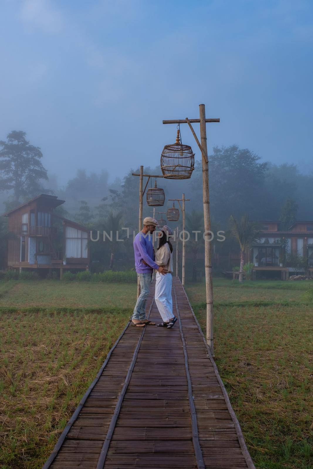 Scandanavian styl cottage in Northern Thailand Nan Province looking out over the rice paddies in Thailand, green rice field by fokkebok