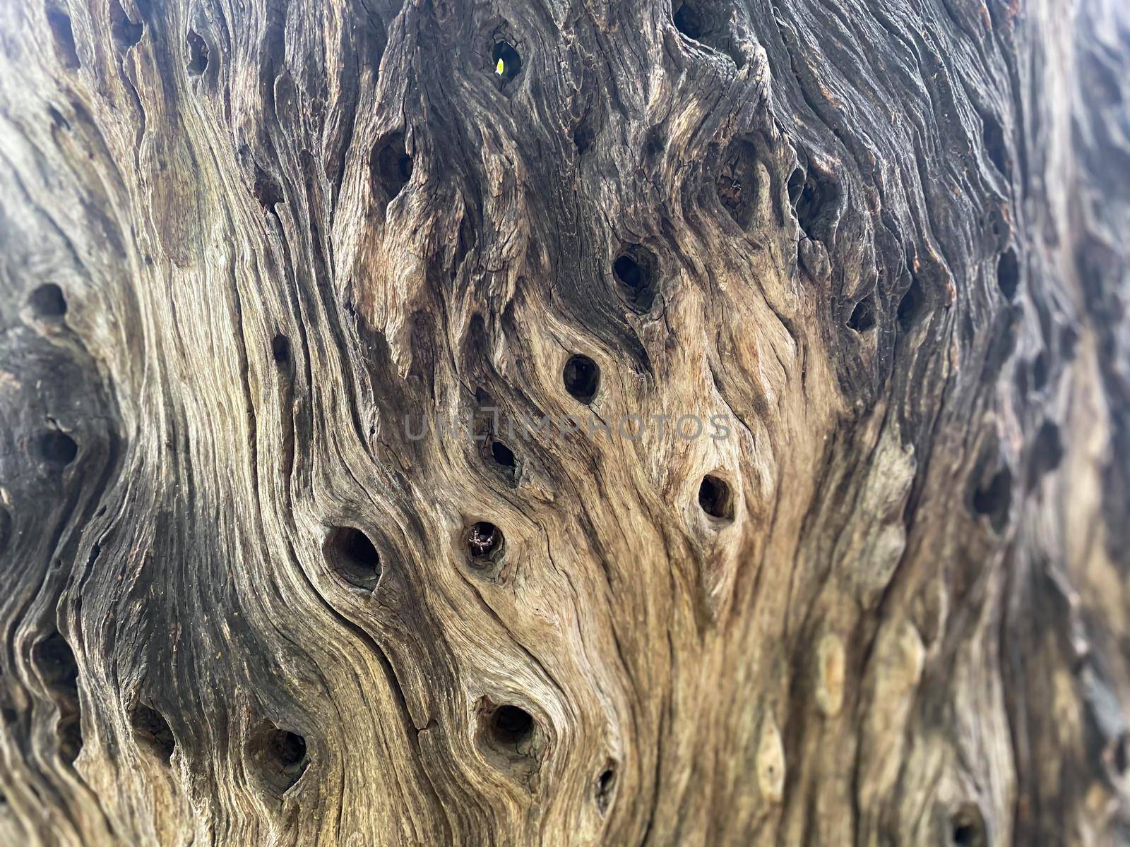 Wood wall or floor texture abstract texture surface background use for background