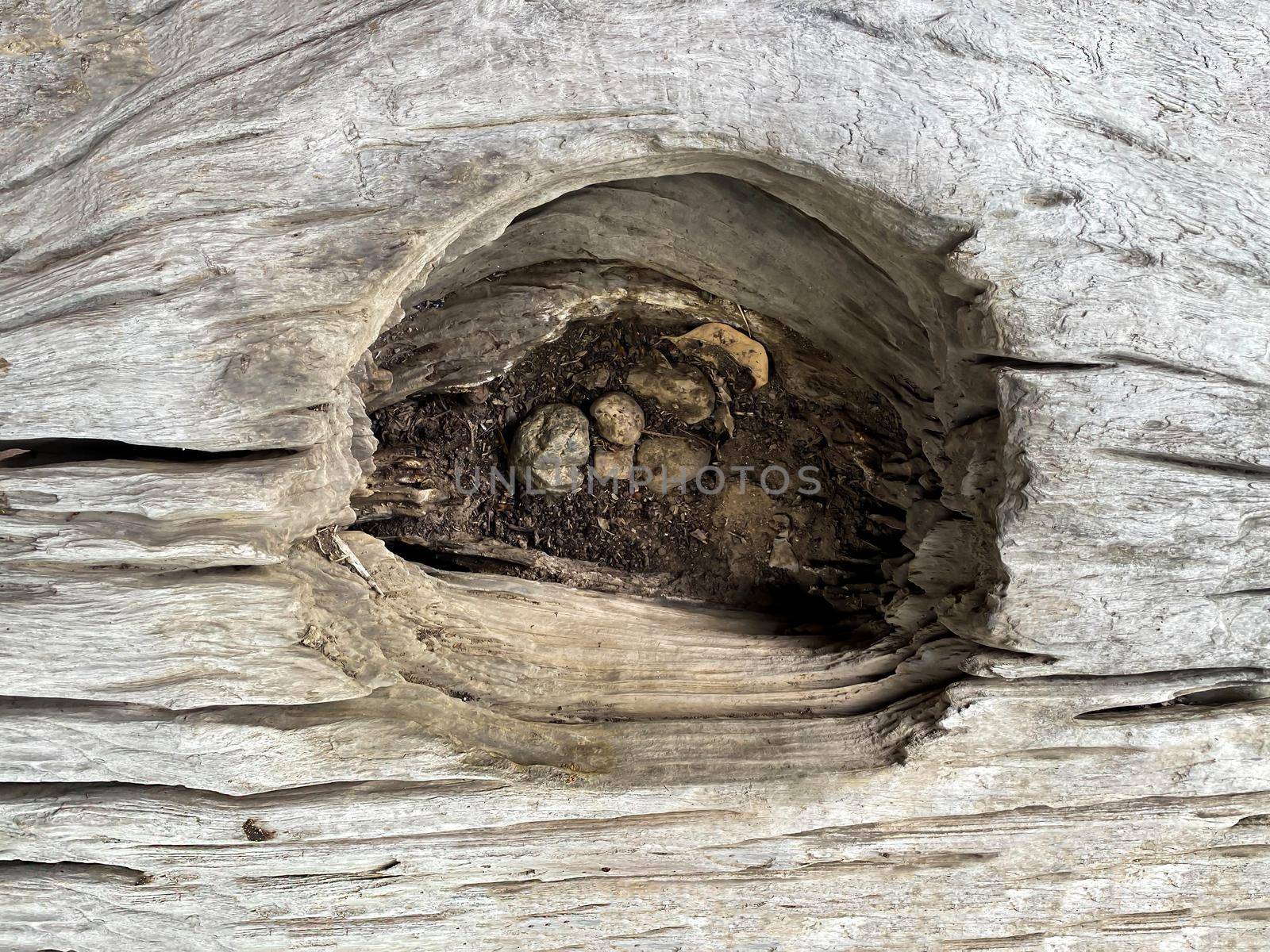 Wood wall or floor texture abstract texture surface background use for background