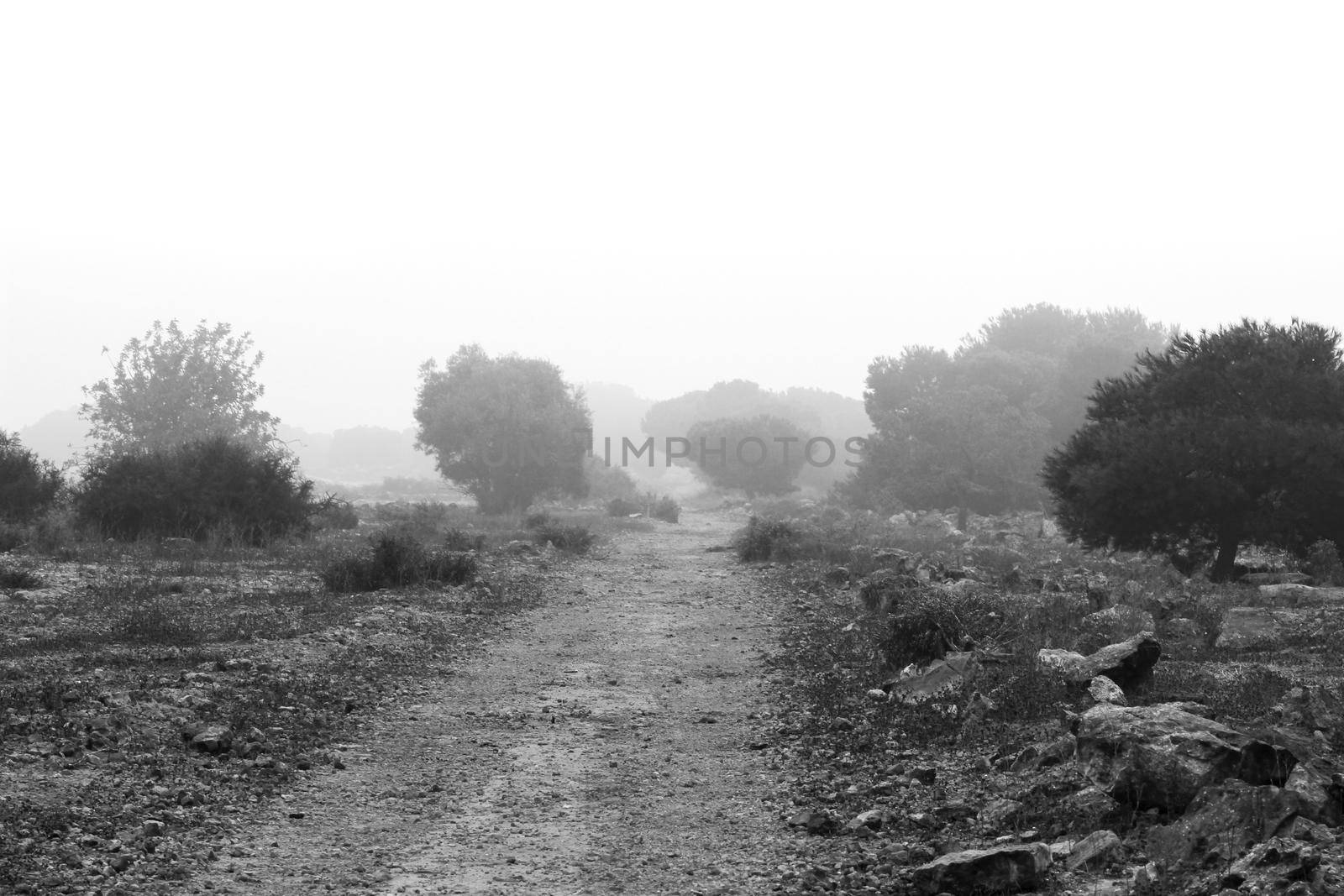 Mountain landscape covered by fog in the morning in Spain