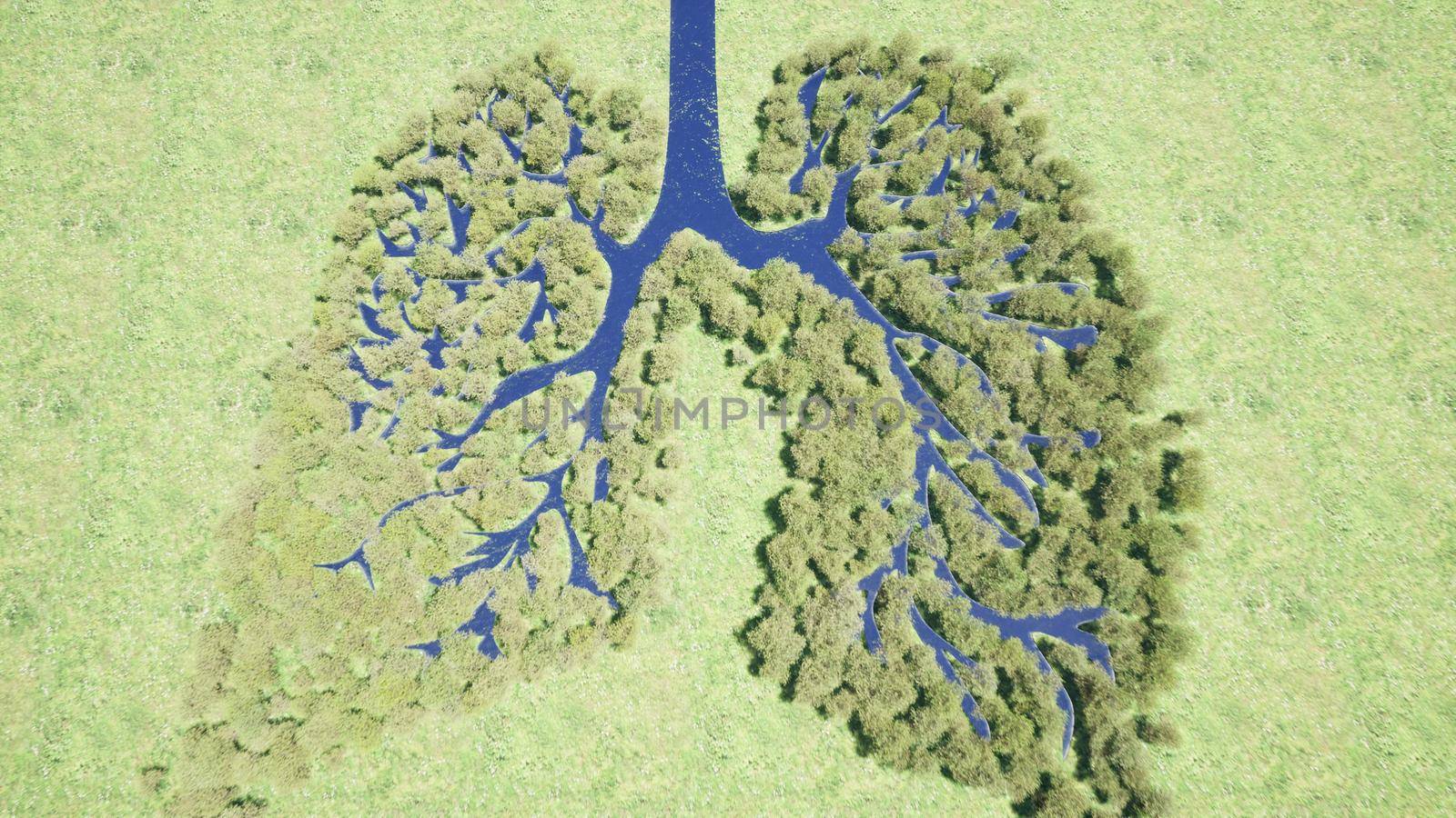 Forest lungs Environment nature earth Save earth green planet 3d render by Zozulinskyi