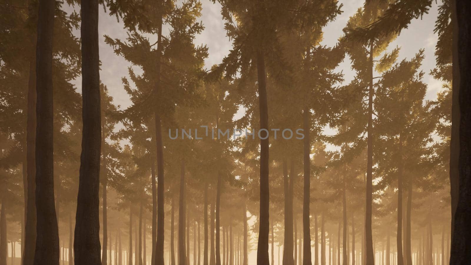 Misty foggy forest Wild nature landscape flight between tree trunks 3d render by Zozulinskyi