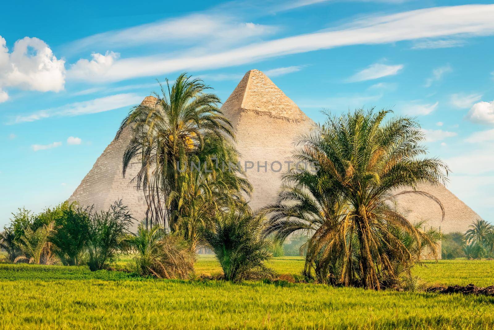 The pyramids in a green field by Givaga