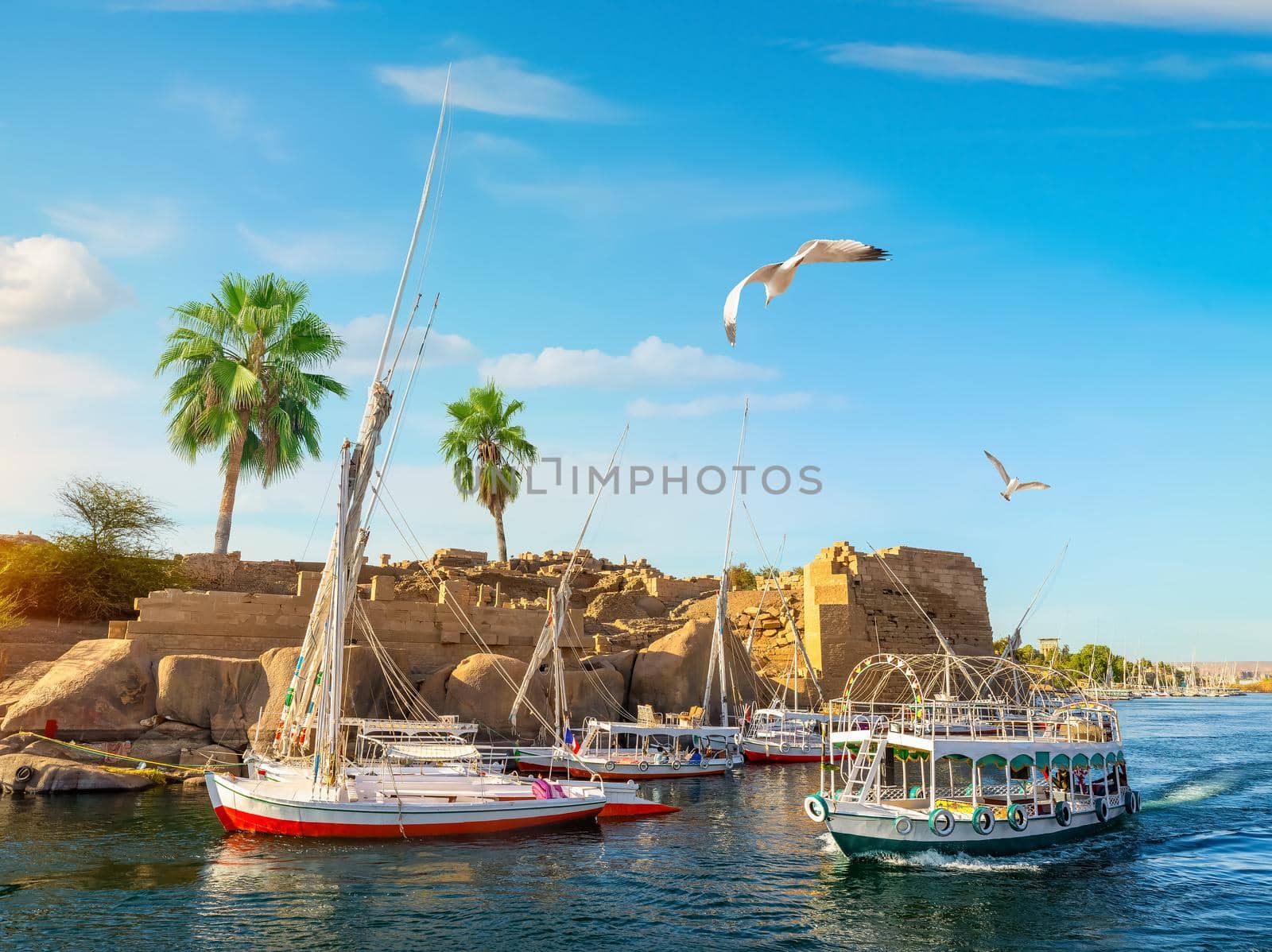 River Nile and boats at sunset in Aswan