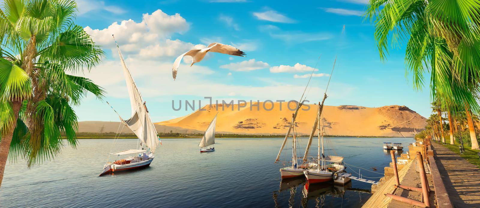 River Nile and boats at day in Aswan