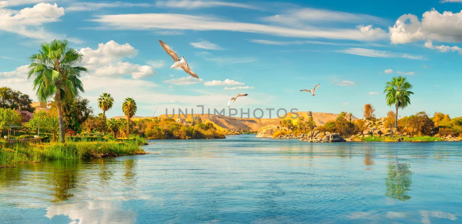 Panorama Nile in Aswan by Givaga