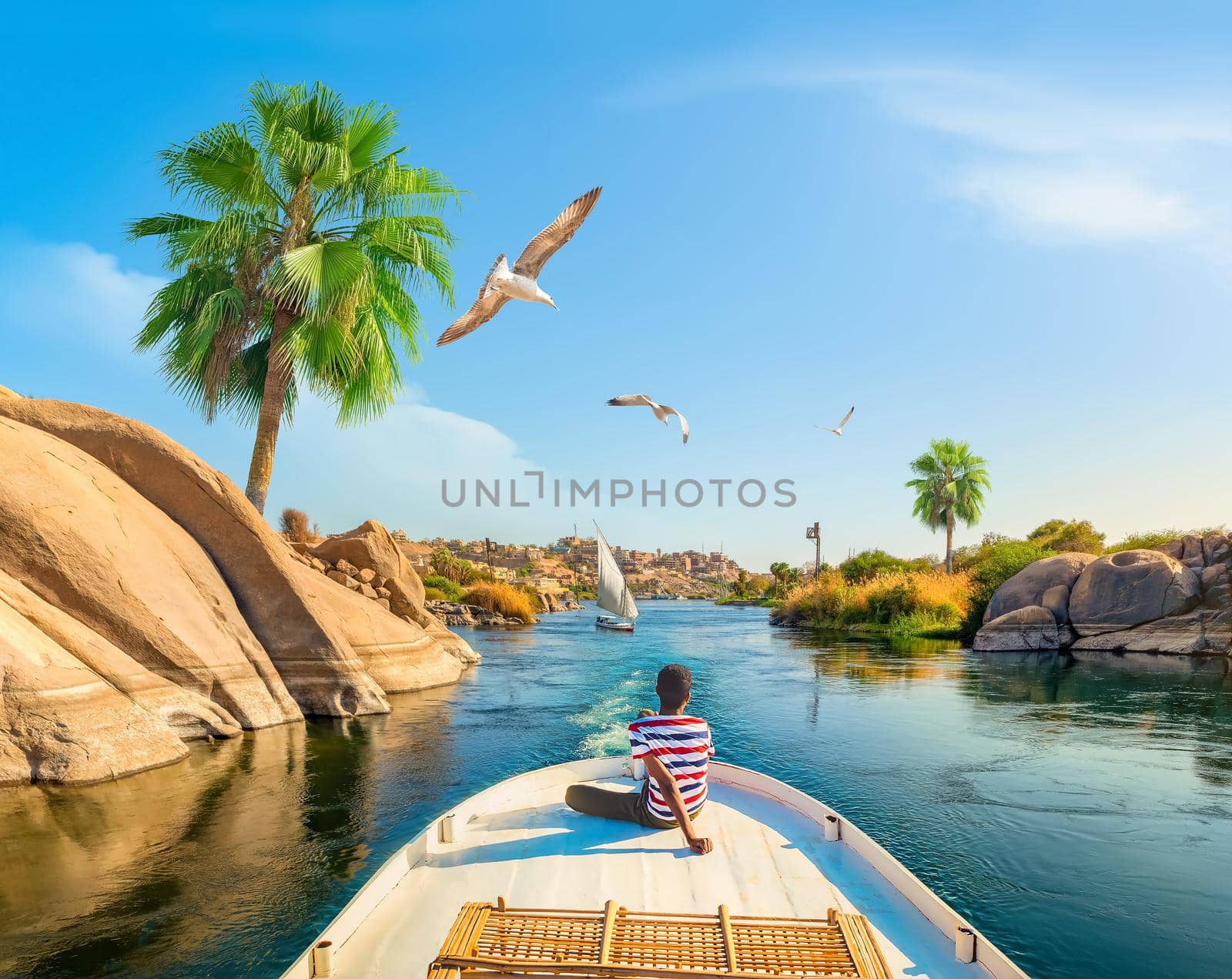 View of the Great Nile in Aswan