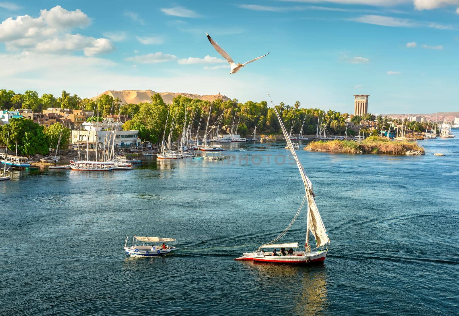 River Nile and boats at sunset in Aswan