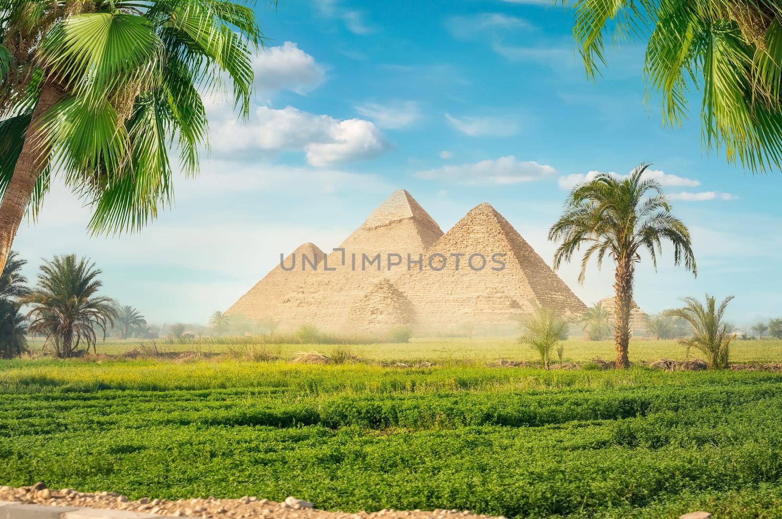 Pyramids in a green field by Givaga