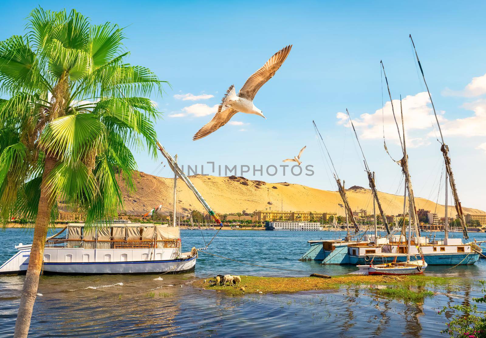 River Nile and boats at day in Aswan