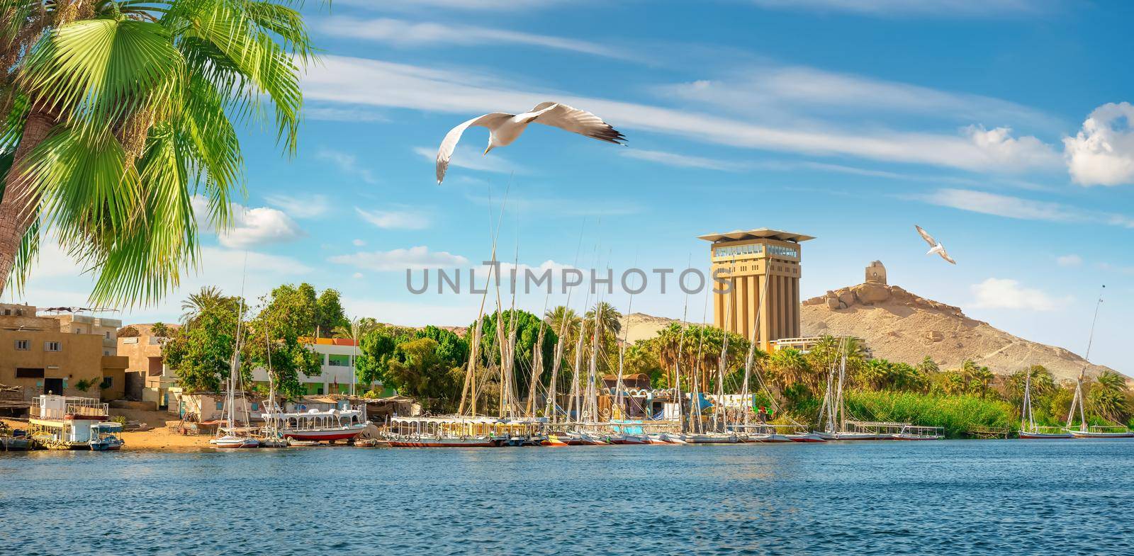 View of Aswan city on river Nile in summer day