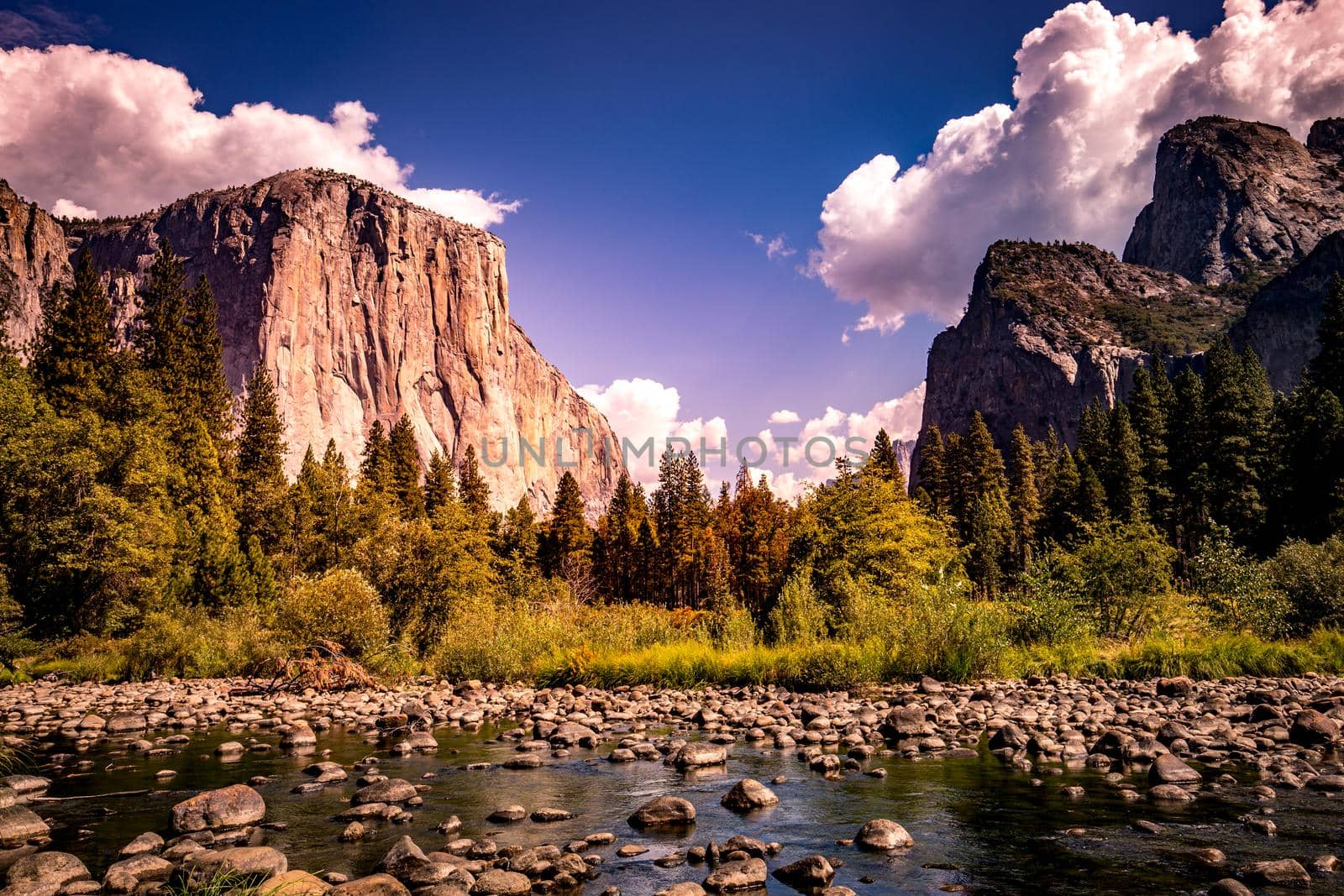 World famous rock climbing wall of El Capitan, Yosemite national park, California, usa