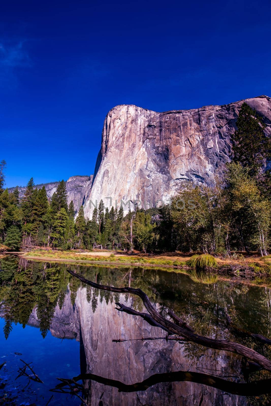 World famous rock climbing wall of El Capitan, Yosemite national park, California, usa