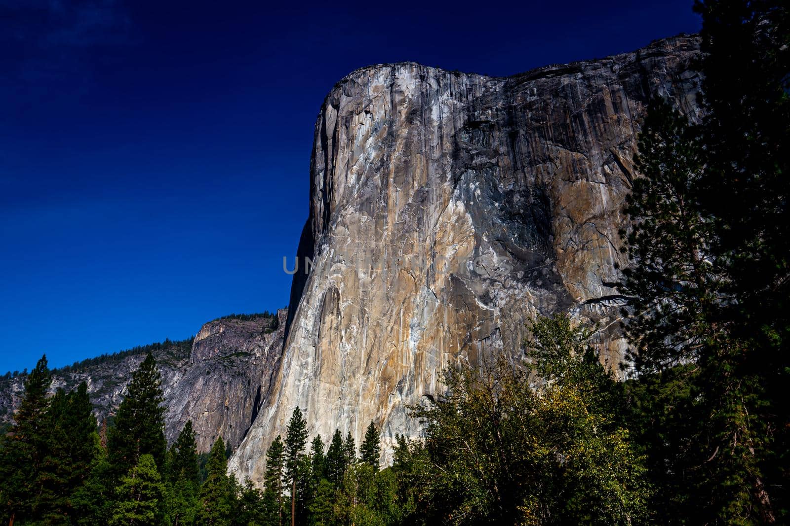 World famous rock climbing wall of El Capitan, Yosemite national park, California, usa