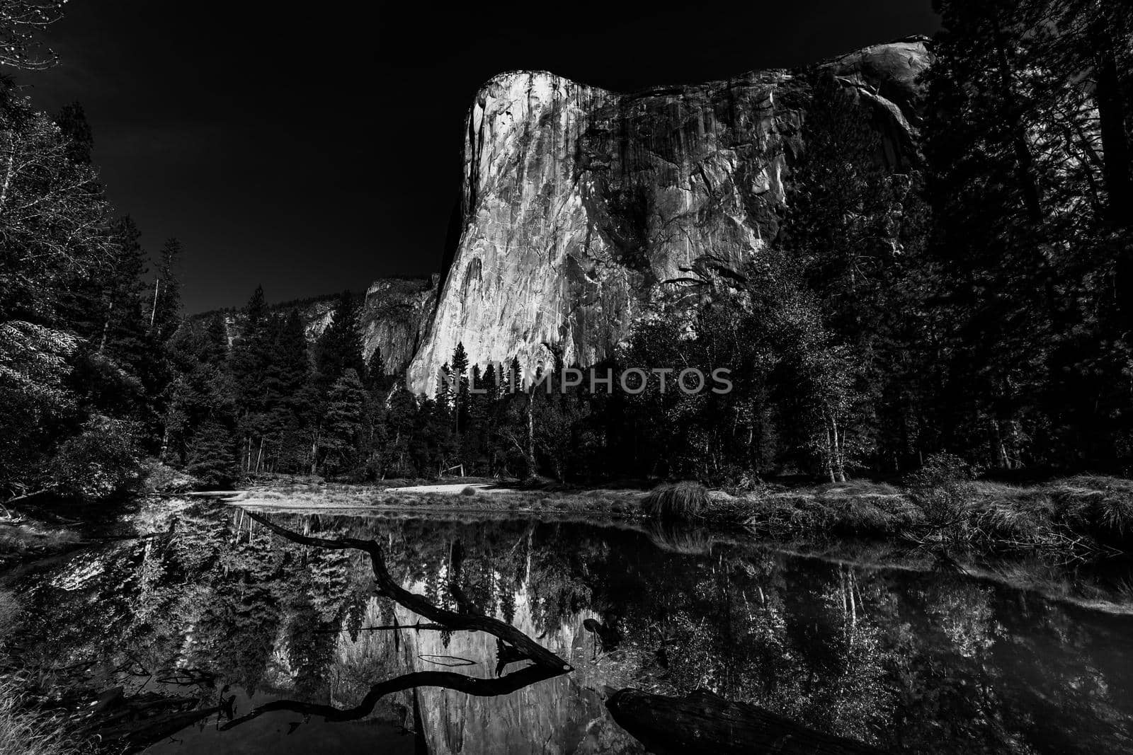 World famous rock climbing wall of El Capitan, Yosemite national park, California, usa