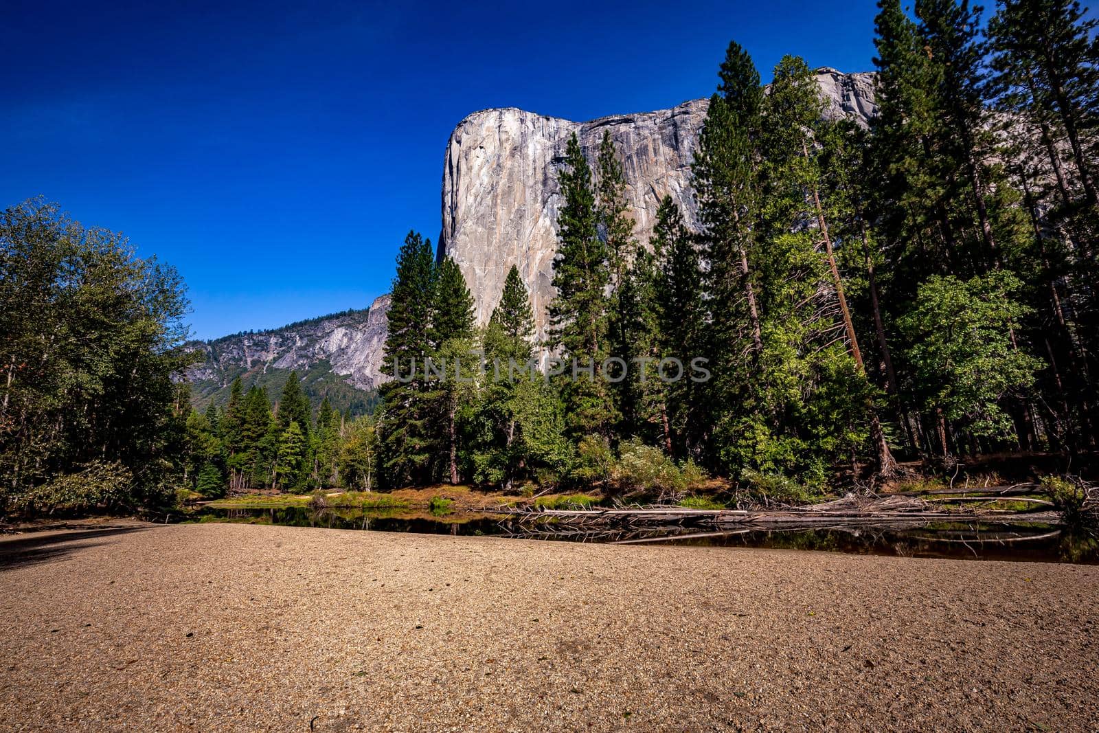 World famous rock climbing wall of El Capitan, Yosemite national park, California, usa