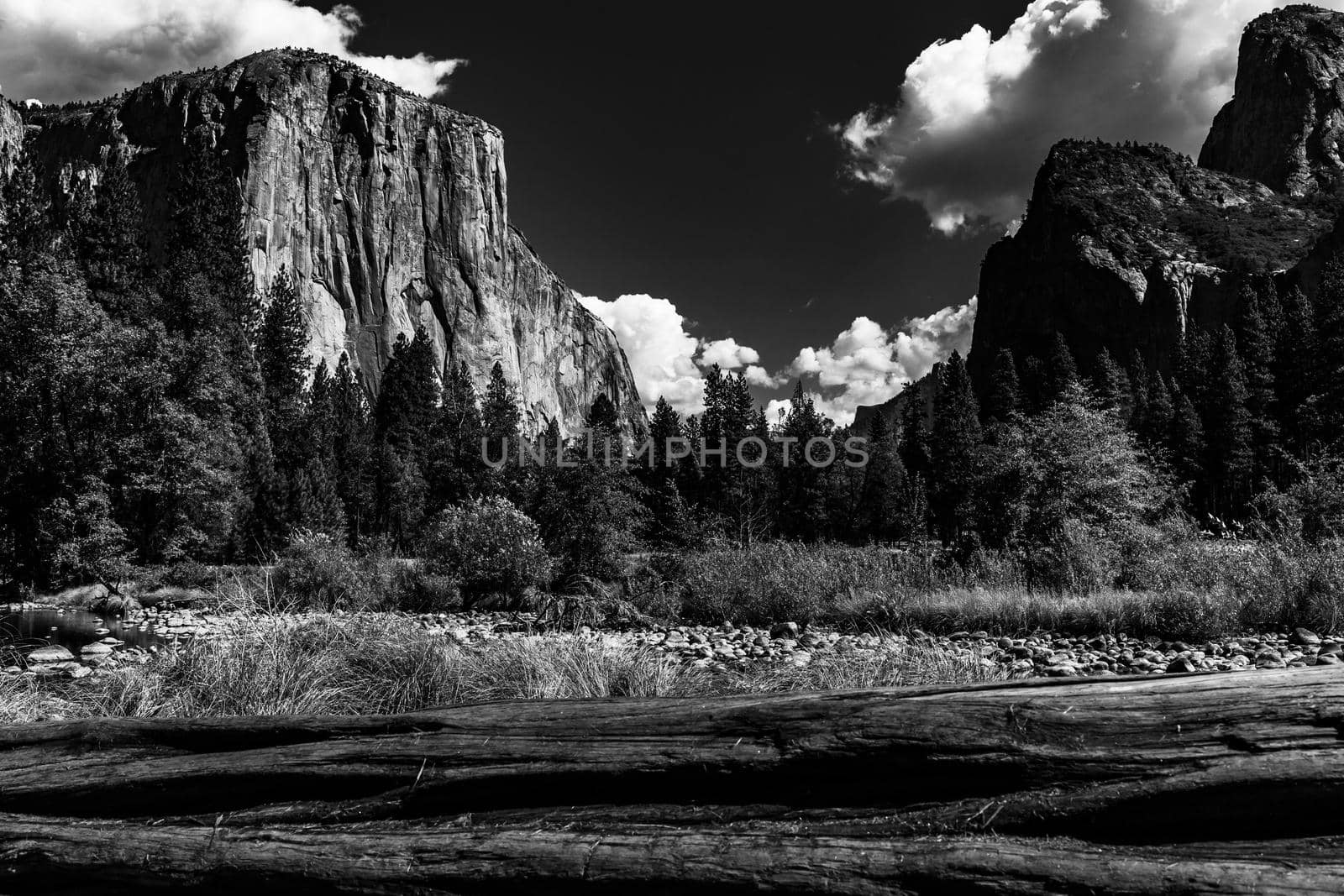 World famous rock climbing wall of El Capitan, Yosemite national park, California, usa