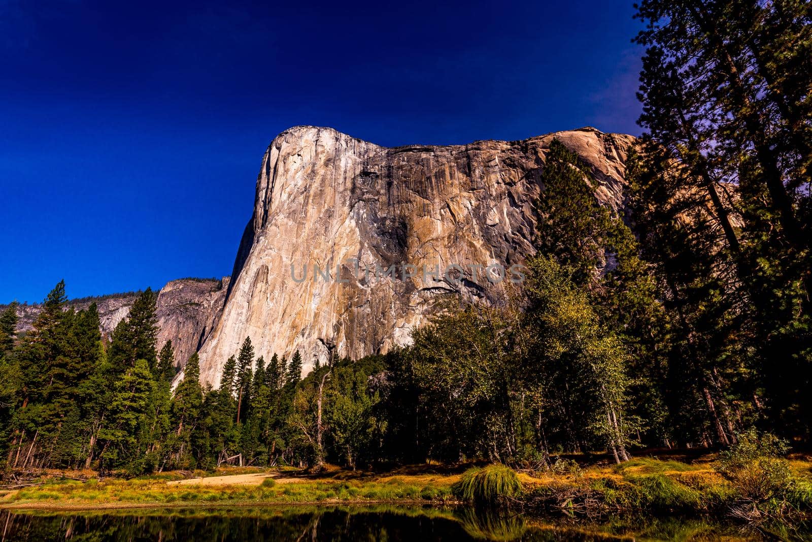 World famous rock climbing wall of El Capitan, Yosemite national park, California, usa