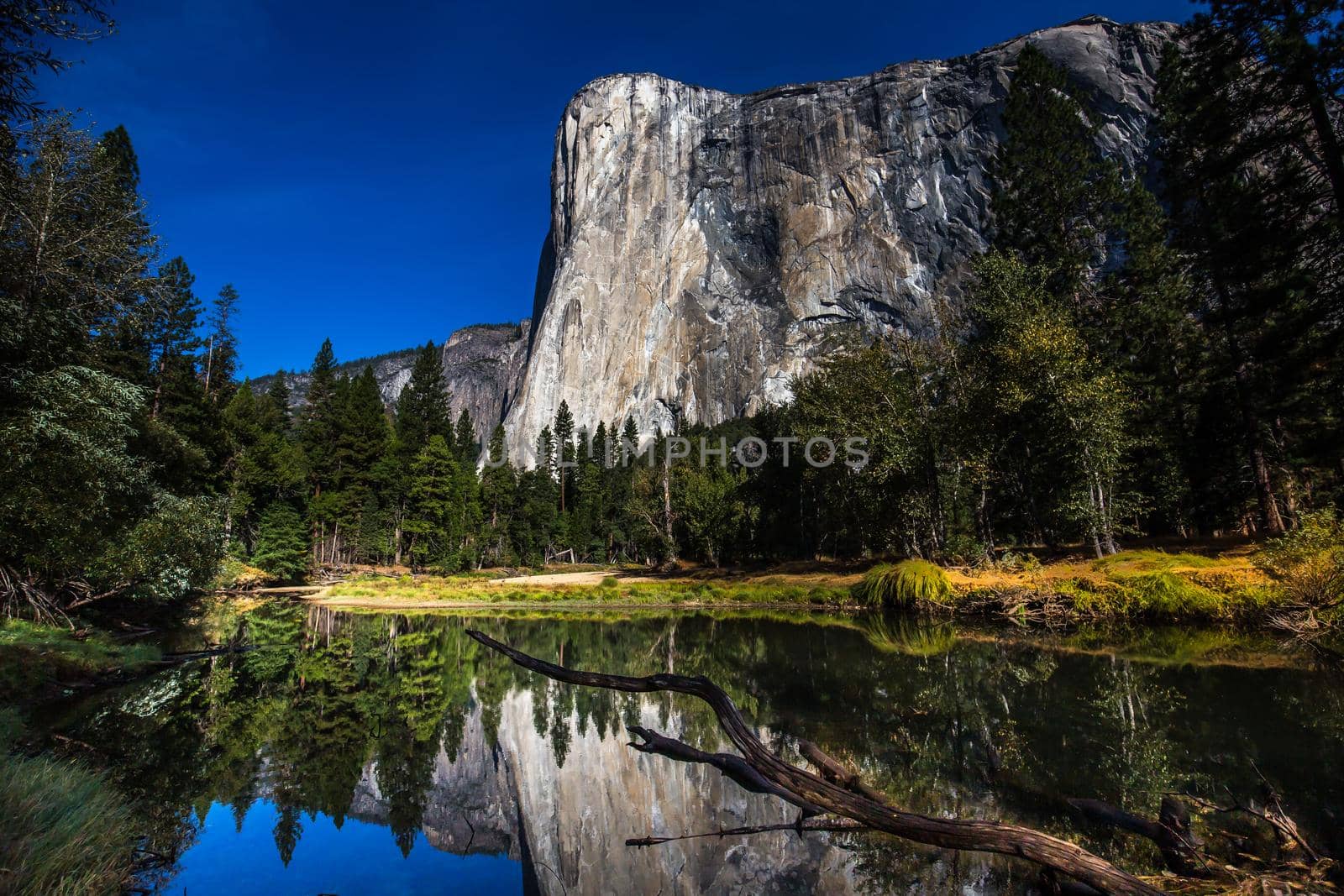 World famous rock climbing wall of El Capitan, Yosemite national park, California, usa