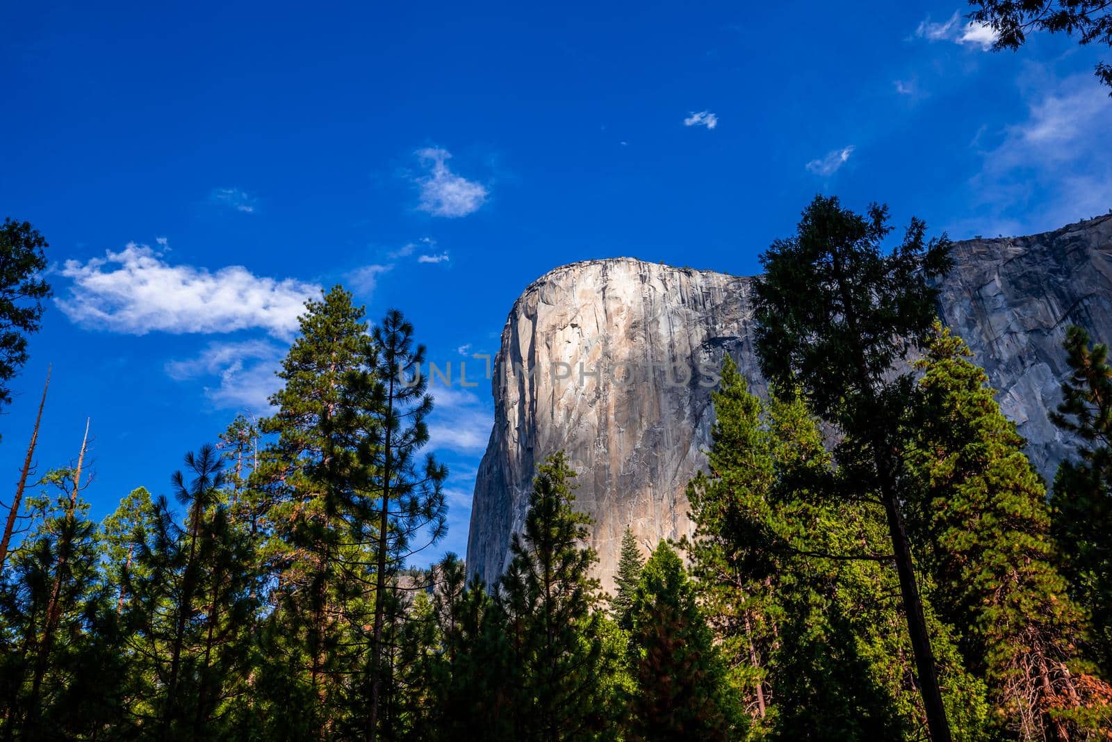 World famous rock climbing wall of El Capitan, Yosemite national park, California, usa