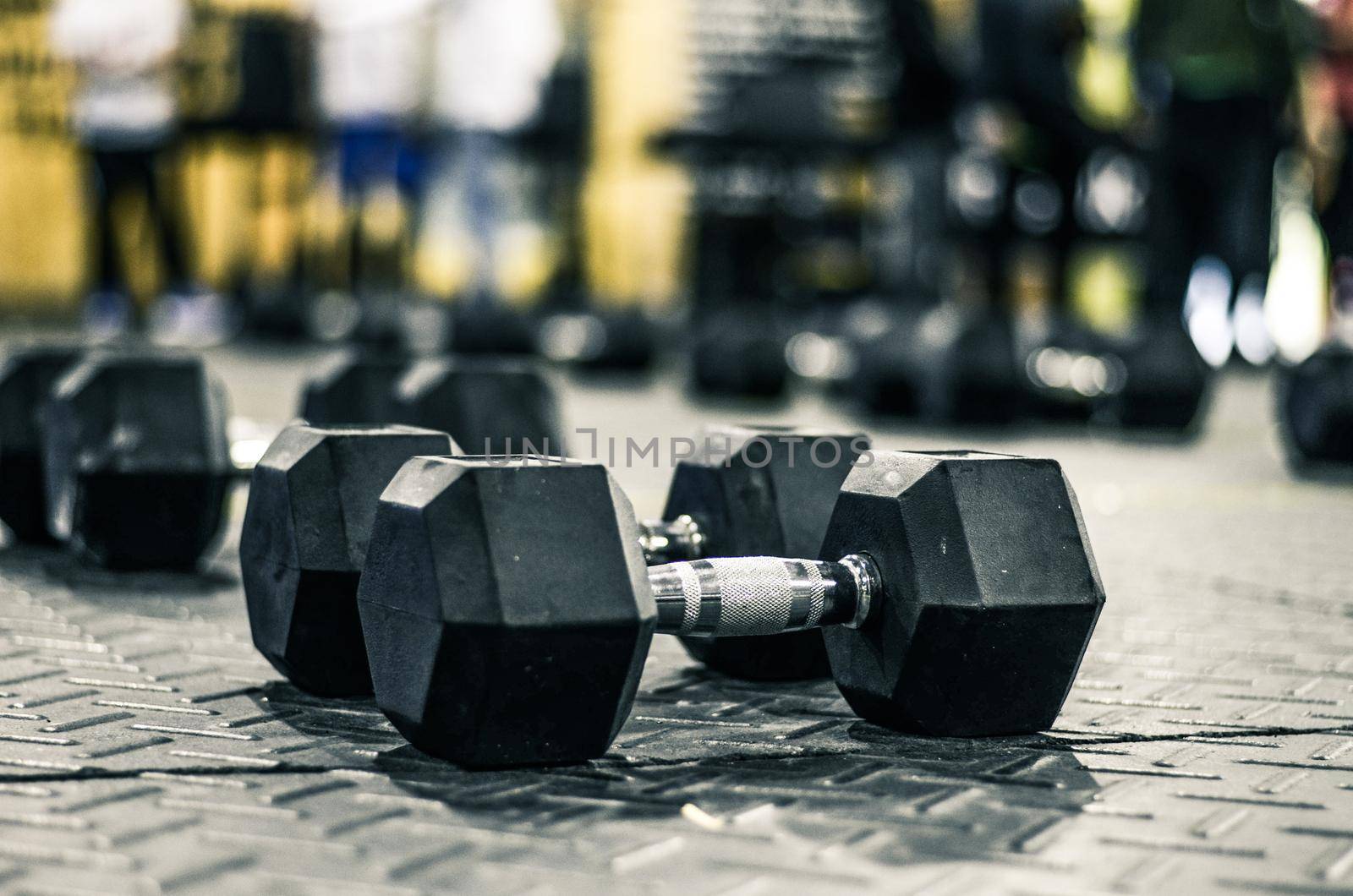 Sports dumbbells in modern sports club. Weight Training Equipment