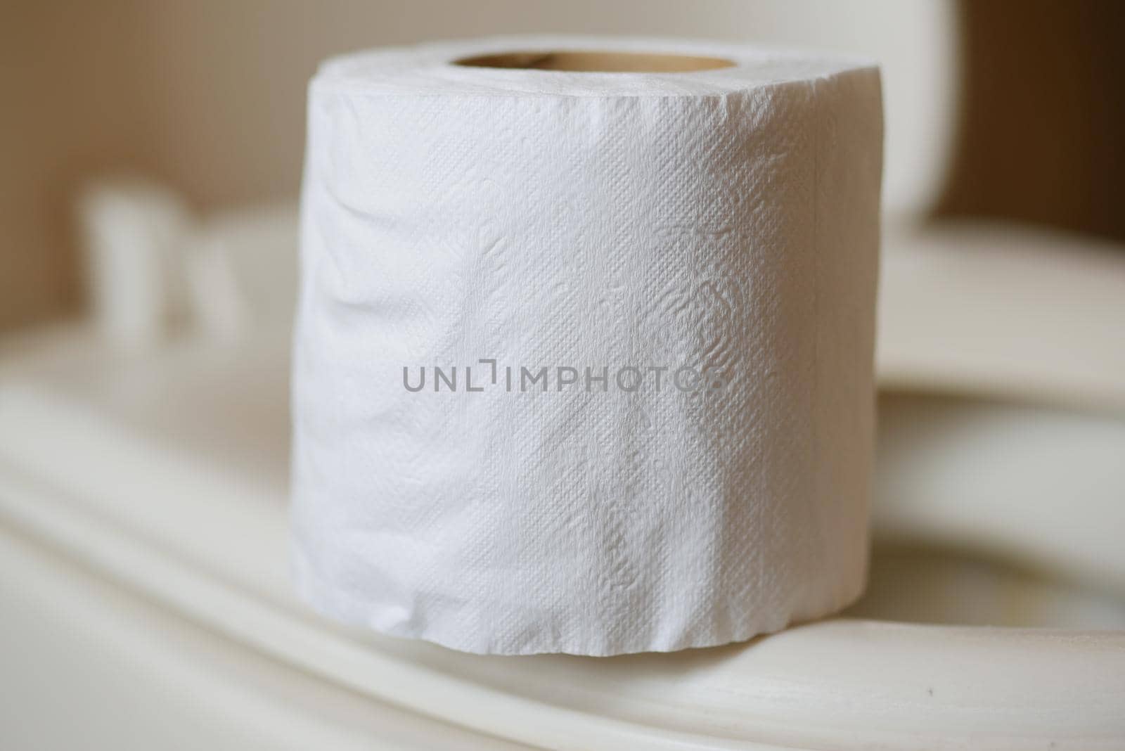 roll of toilet paper in toilet .