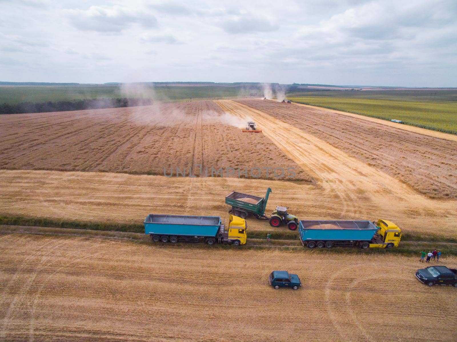 Harvesting in the field. Aerial view. Wheat field by TrEKone
