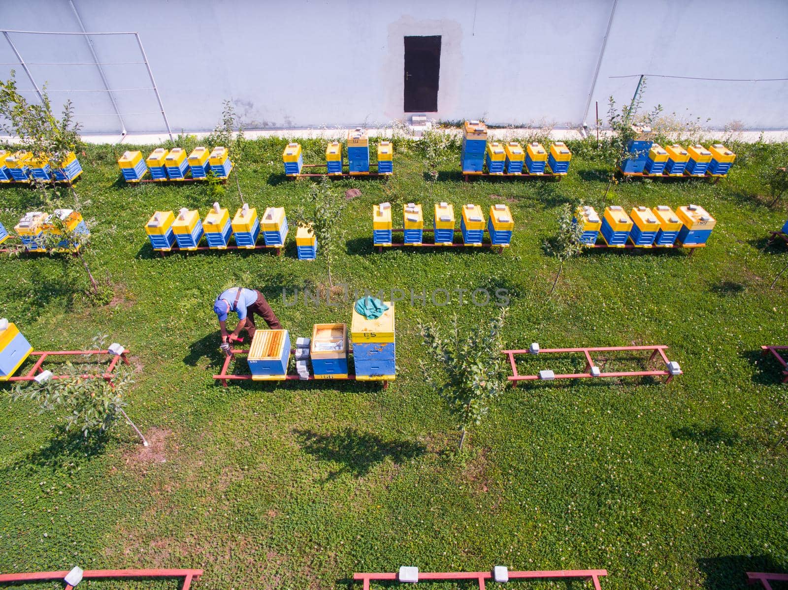 Aerial view of the Great Apiary. Industrial beekeeping with honey bees. by TrEKone