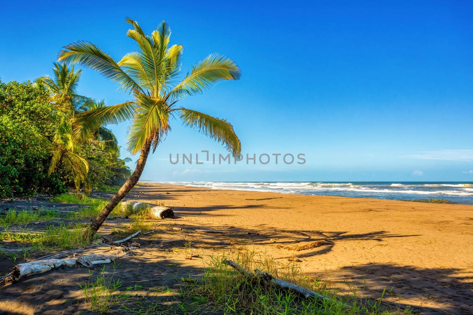 beach of Tortuguero, Costa Rica by artush
