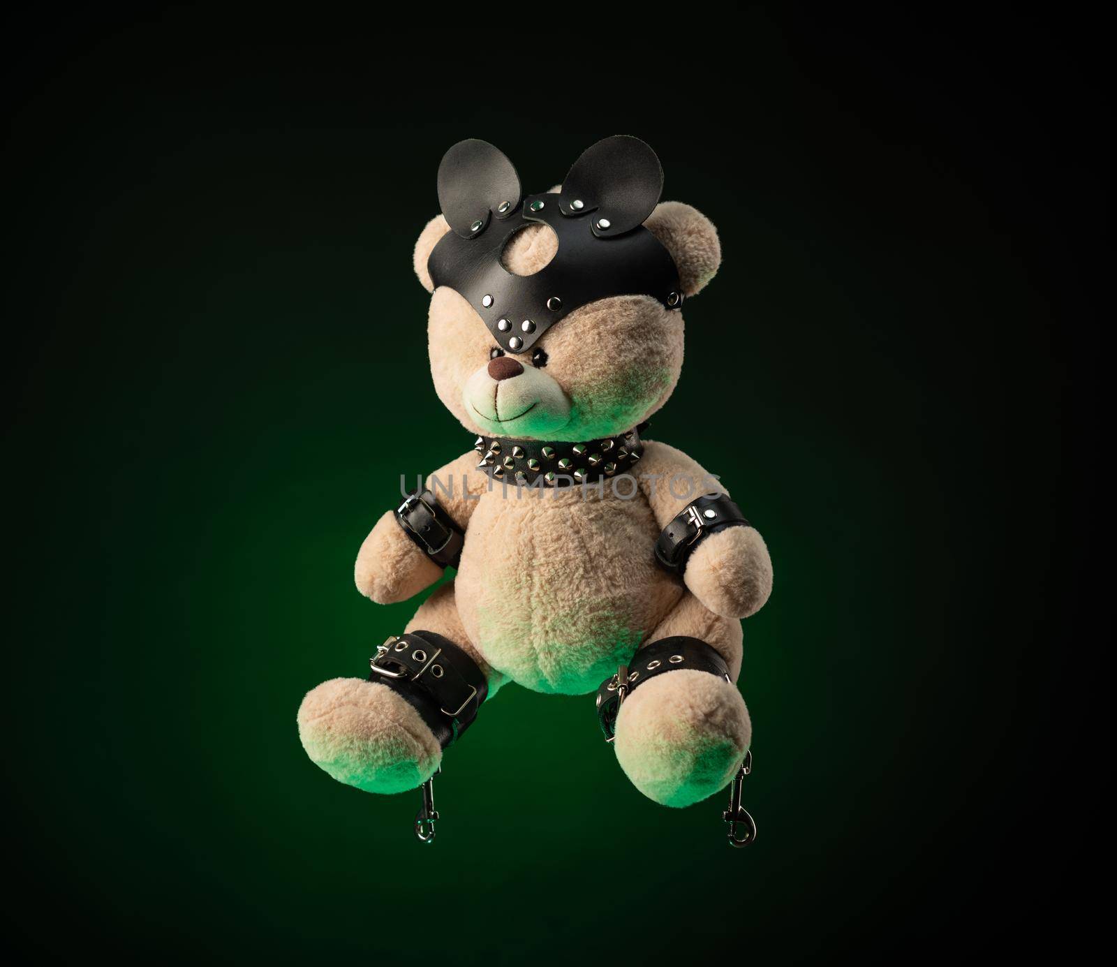 bdsm accessories on a teddy bear by Rotozey