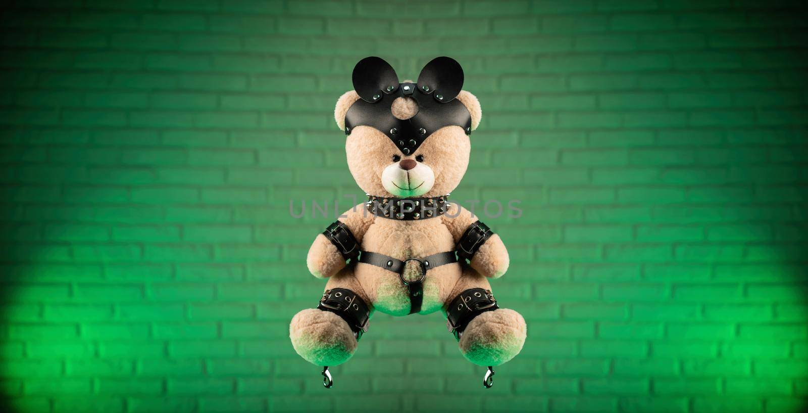 bdsm accessories on a teddy bear by Rotozey