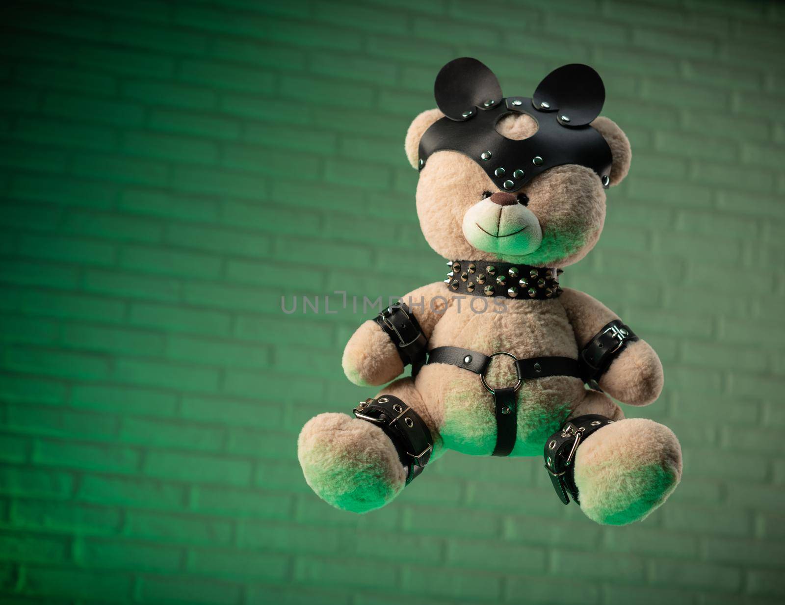 bdsm accessories on a teddy bear by Rotozey