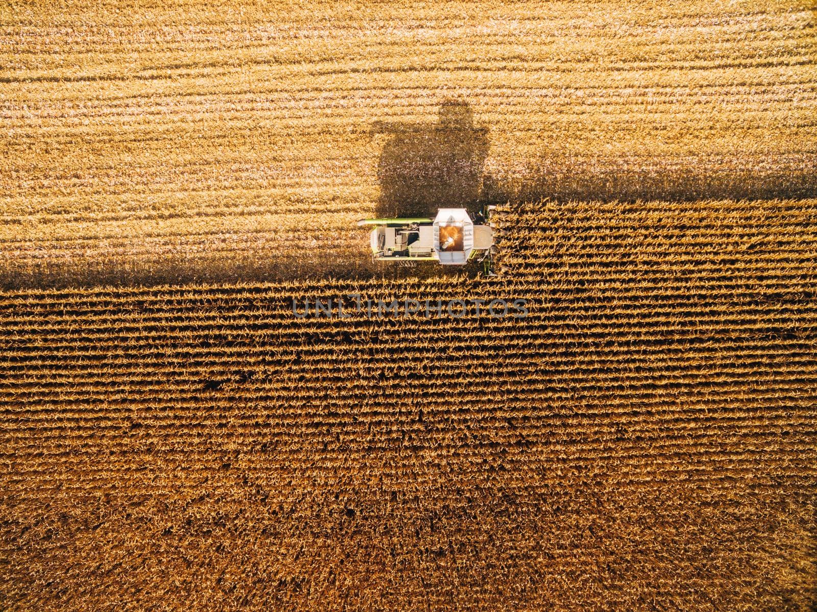 Harvesting Corn in the Green Field. Aerial photography over Automated Combines