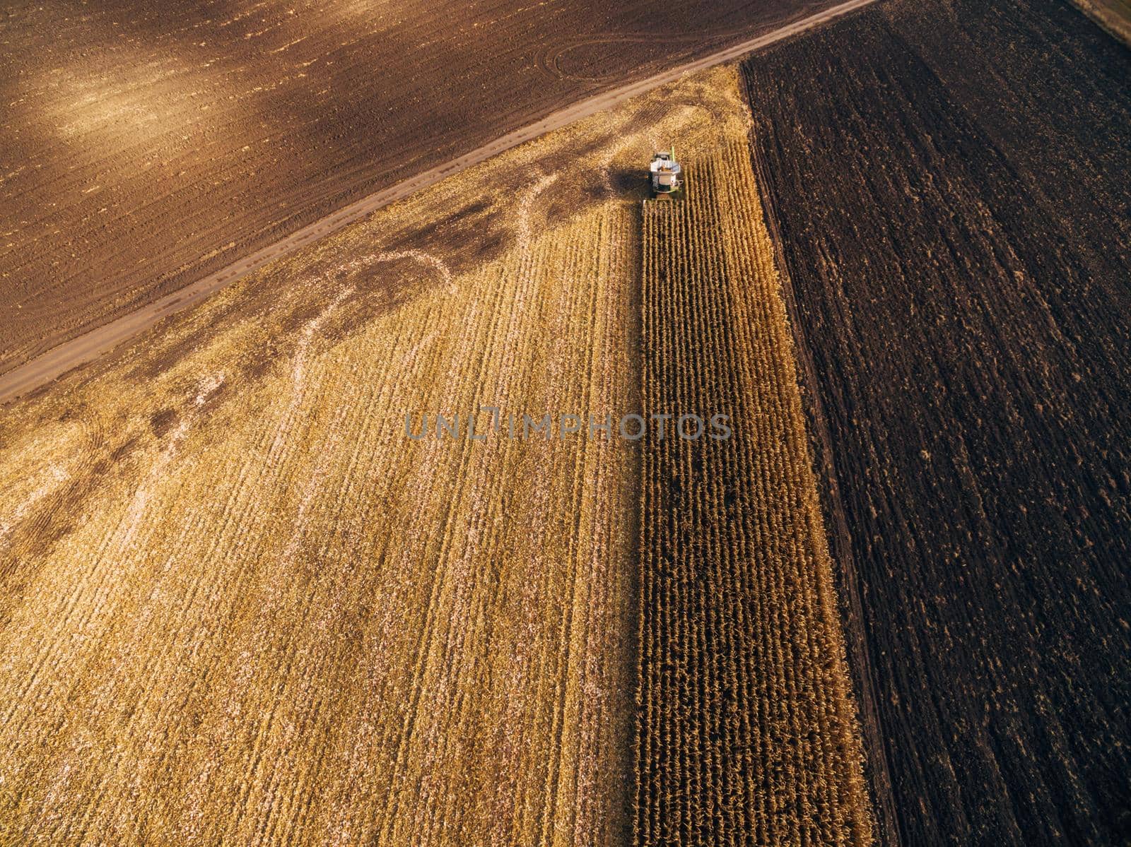 Harvesting Corn in the Green Big Field. Aerial View over Automated Combines by TrEKone