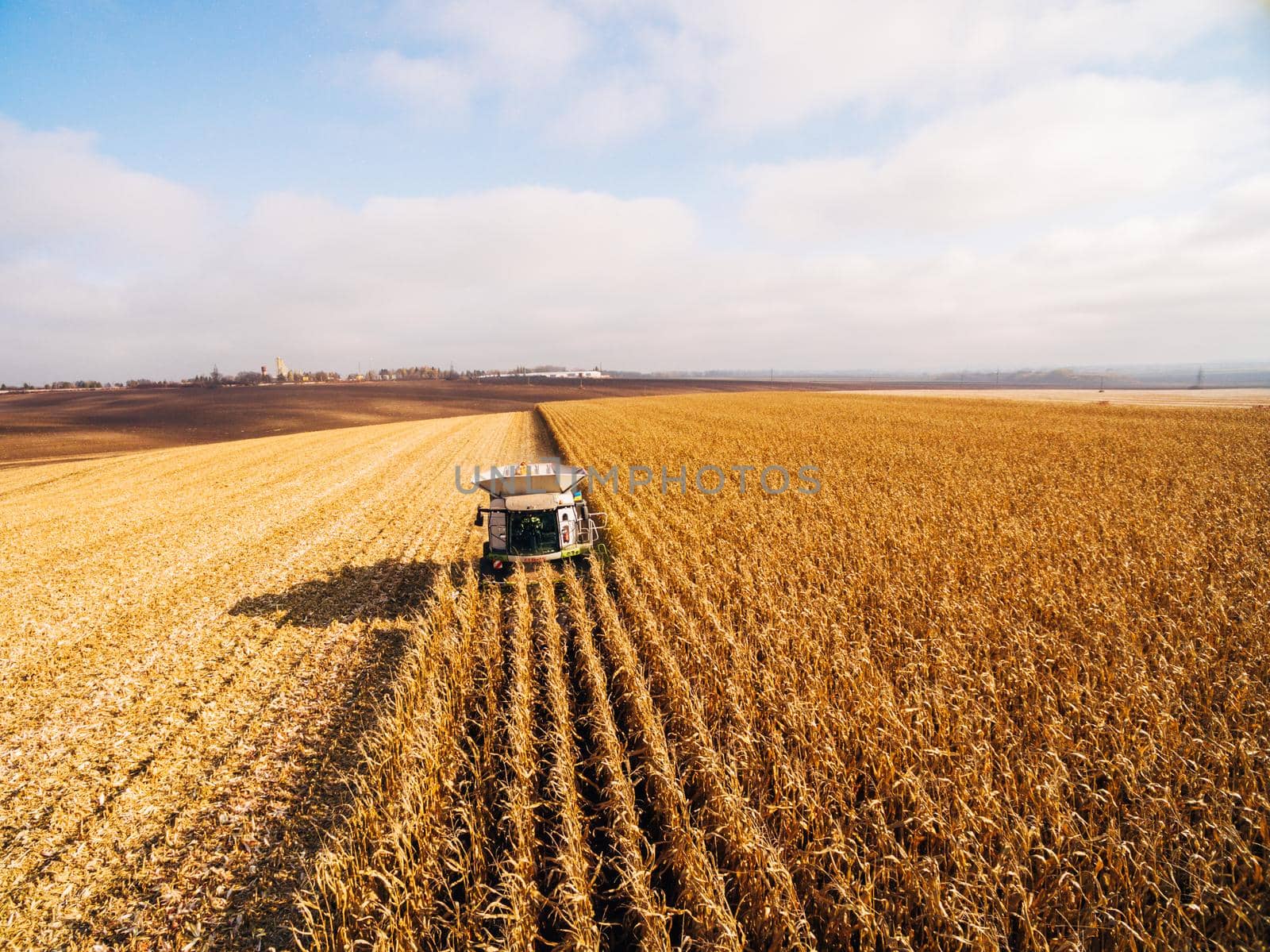 Harvesting Corn in the Green Field. Aerial photography over Automated Combines
