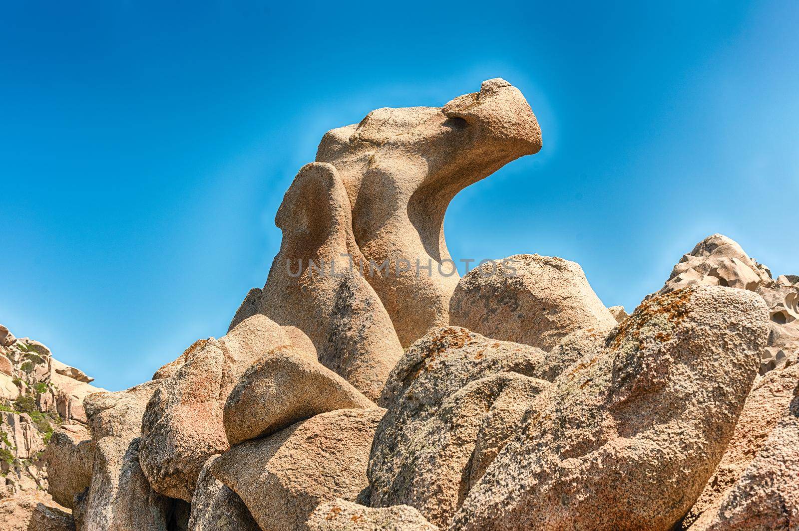 Dragon shaped rock in a place called Moon Valley (or Valle della Luna), beach dotted with granite rocks and caves in Capo Testa, Sardinia, Italy