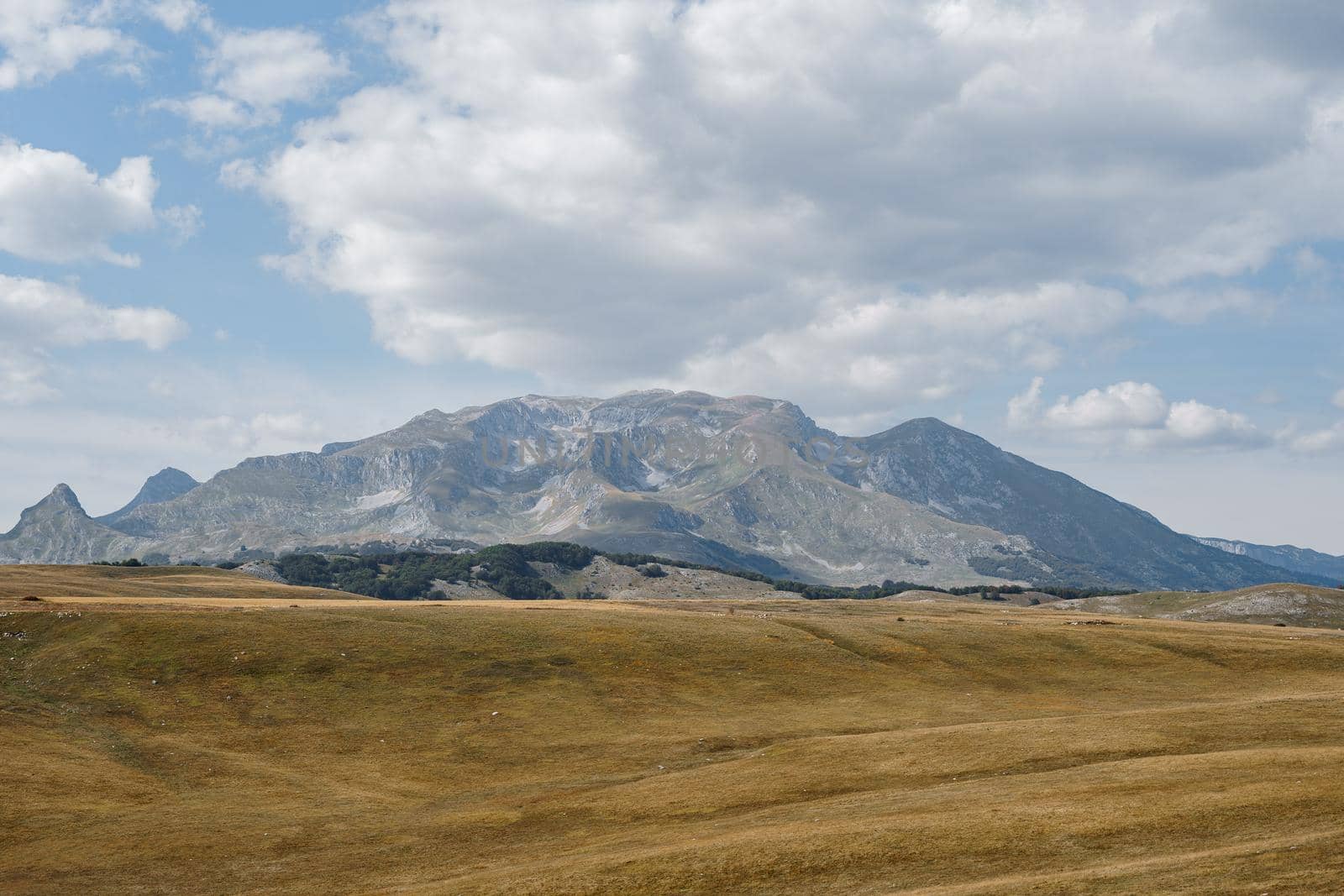 High mountain range rises above a valley in Durmitor National Park. High quality photo