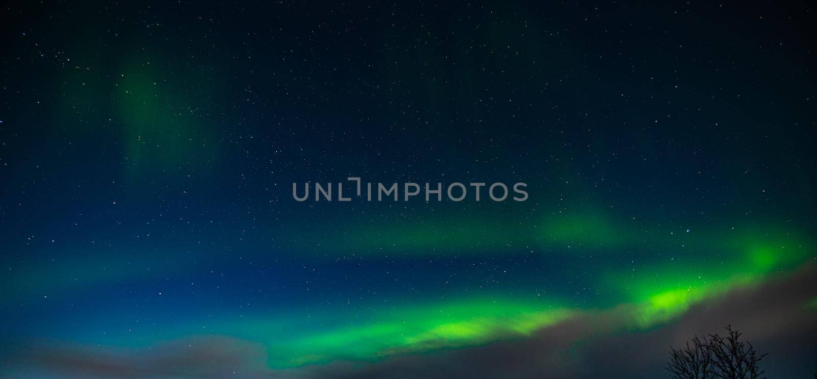 Northern Lights also known as aurora, borealis or polar lights at cold night over deep black star sky. Beautiful night photo of magic nature phenomenon. High quality photo