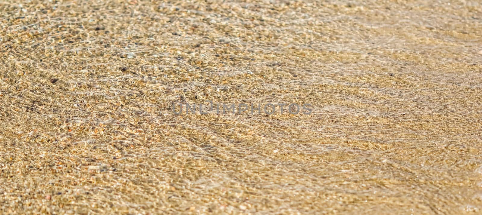 Flowing wave on the sea sandy beach. Summer vacation background and coastal nature concept