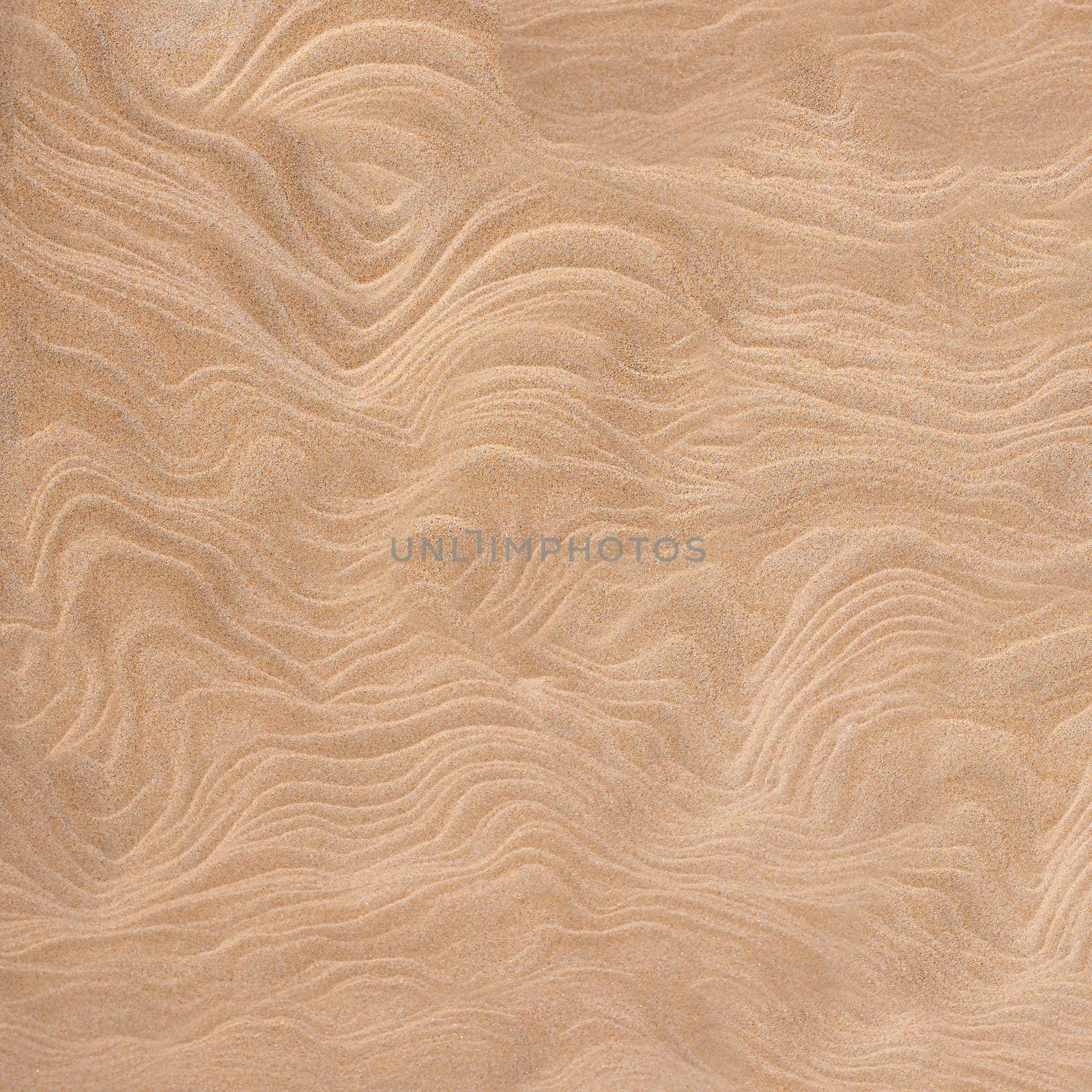 The texture of sand. Sandy beach for background. Top view
