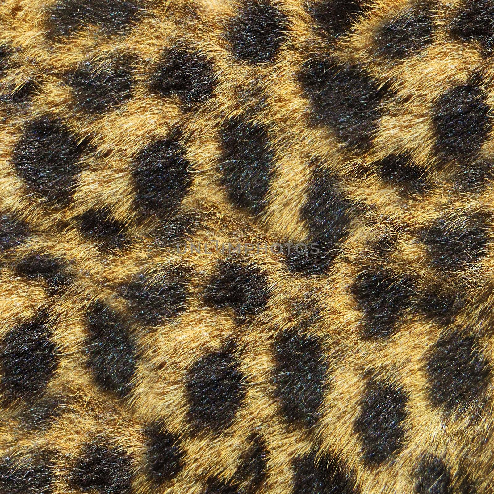 Close-up of an artificial leopard skin.Texture or background