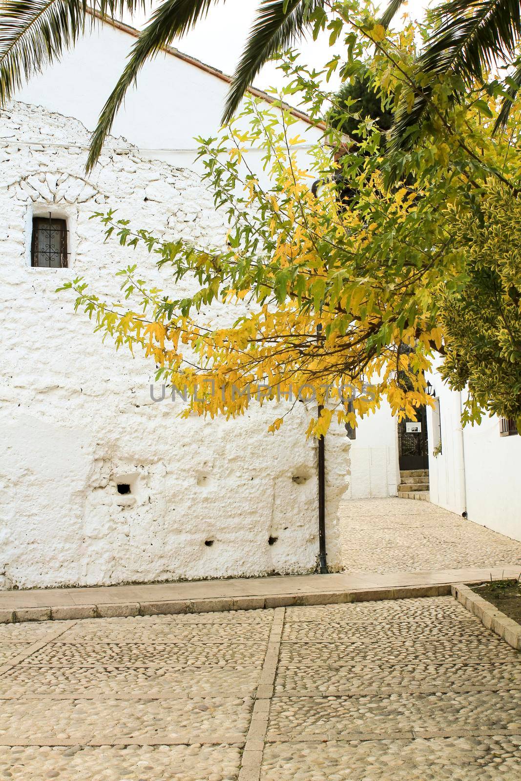 Narrow Street and typical whitewashed facades of the town of Guadalest in Alicante, Spain