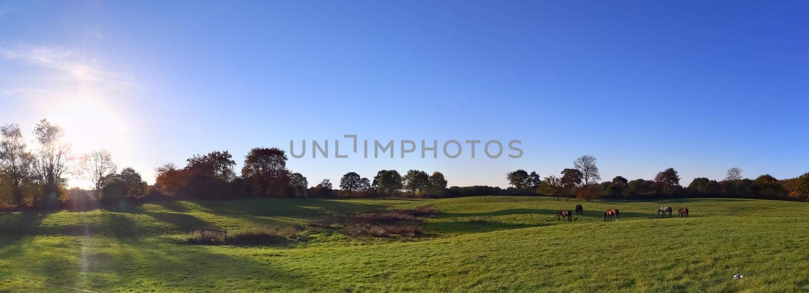 Beautiful high resolution panorama of a northern european country landscape with fields and green grass.