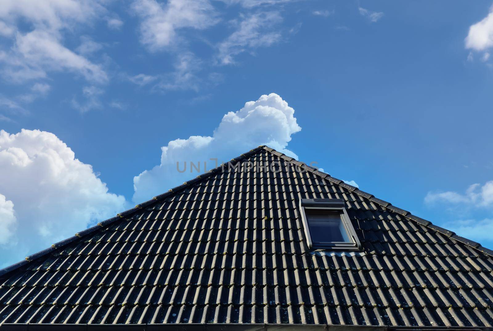 Open roof window in velux style with black roof tiles. by MP_foto71