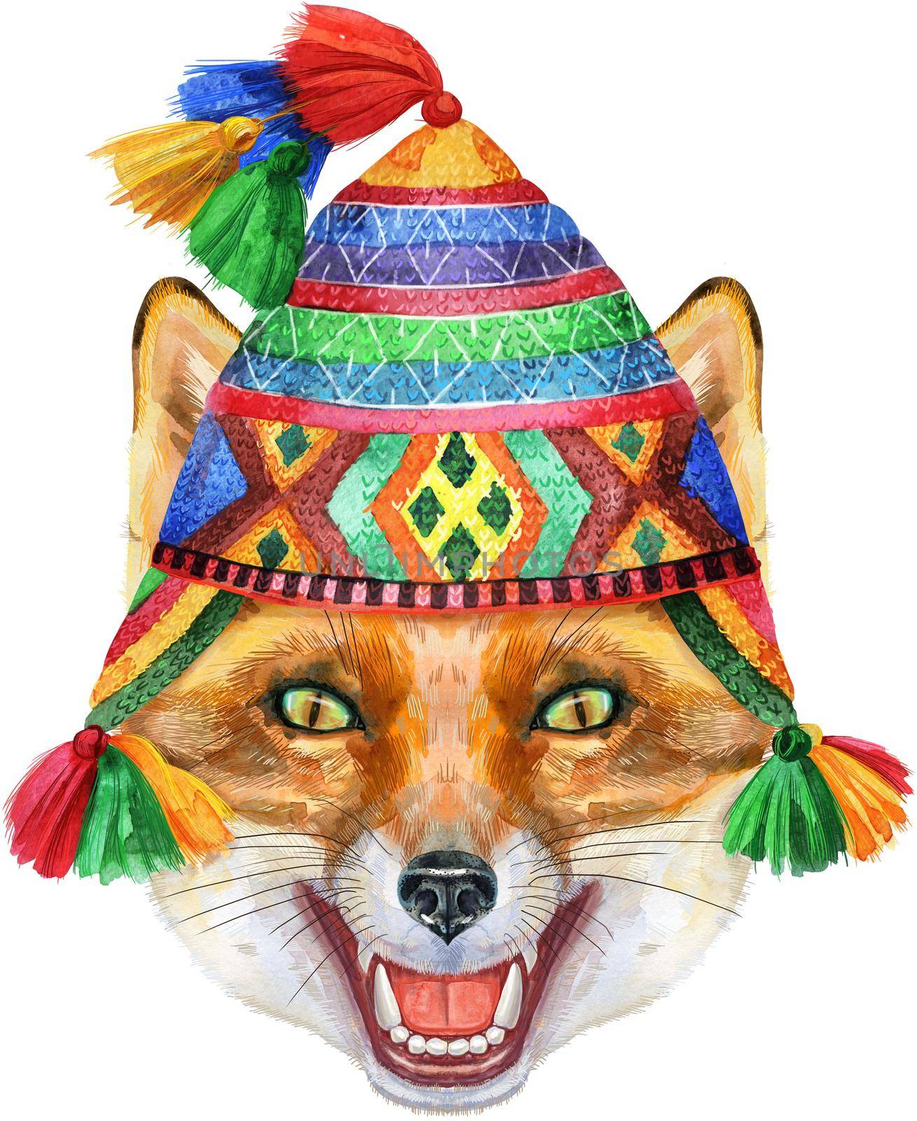 Fox portrait in chullo hat. Watercolor orange fox painting illustration. Beautiful wildlife world
