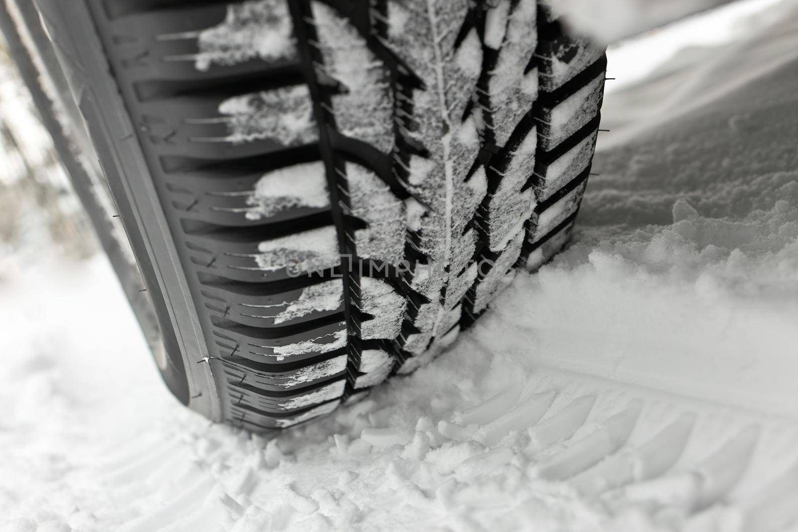 A snowy winter tire leaves a deep track in the snow. Snow clings to tire treads.