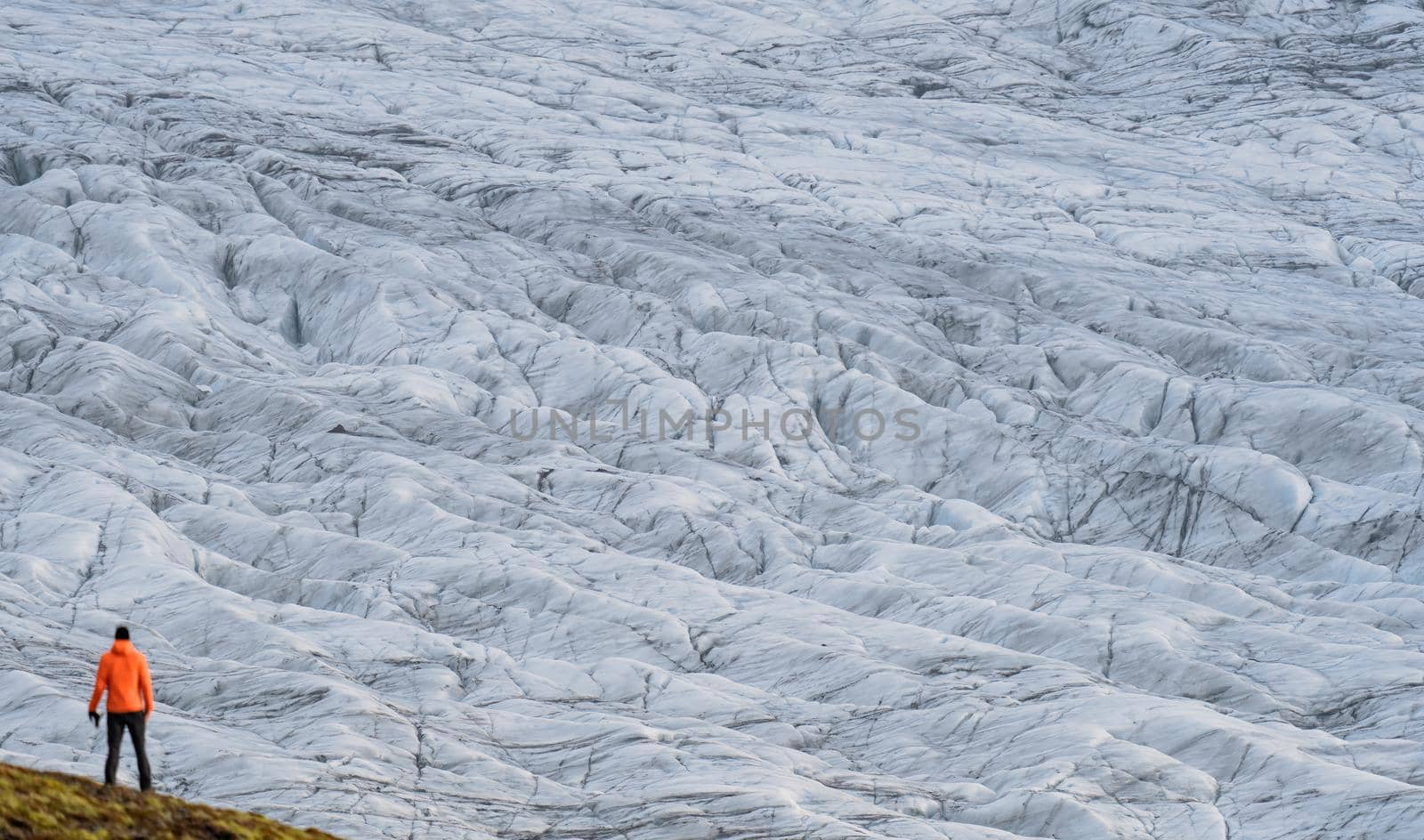 Unrecognizable tourist rear view looking to a massive glacier by FerradalFCG