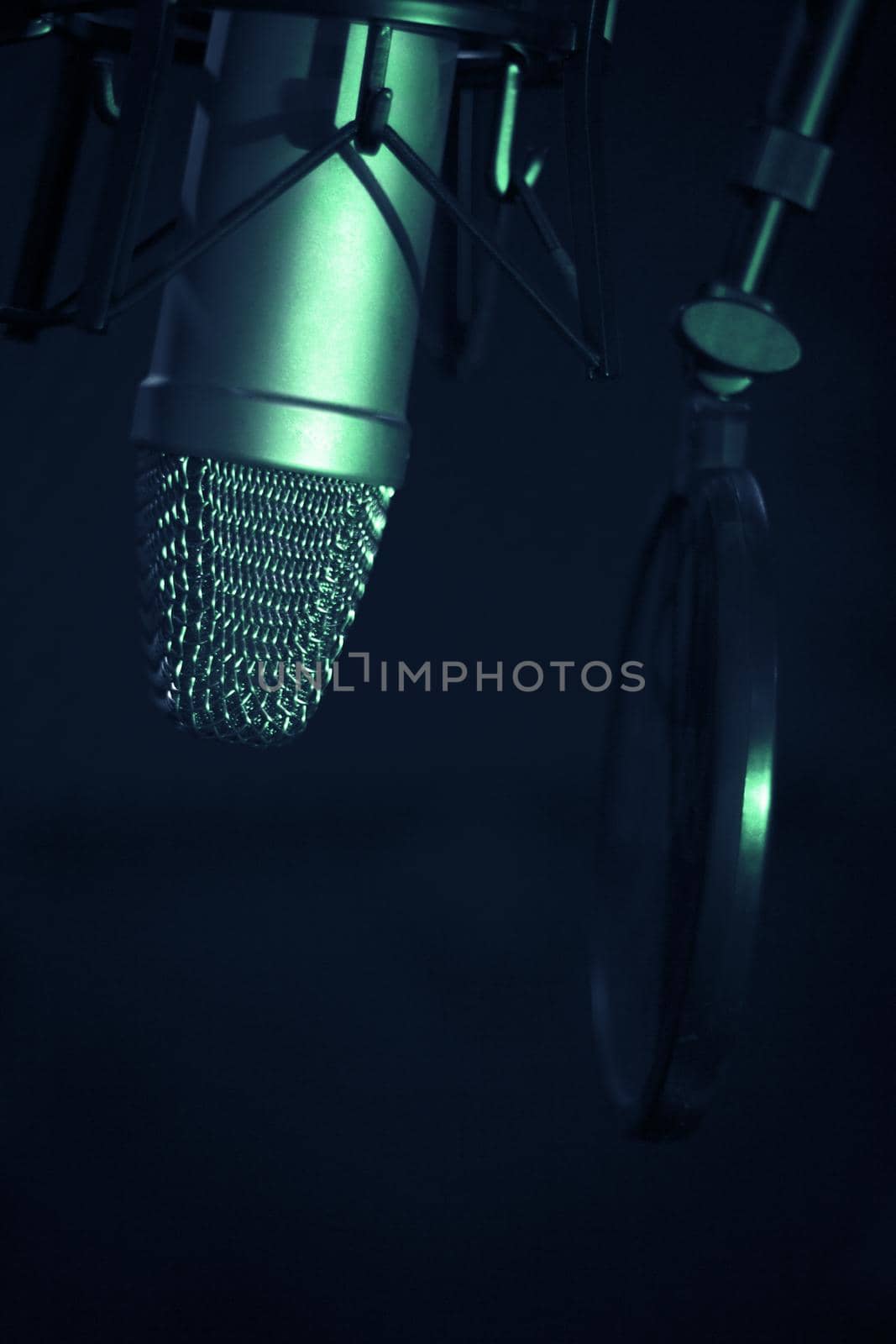 Professional microphone suspended in the air of professional studio